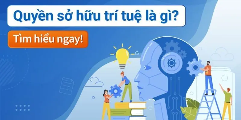Tìm hiểu chính sách về quyền sở hữu trí tuệ của Yo88