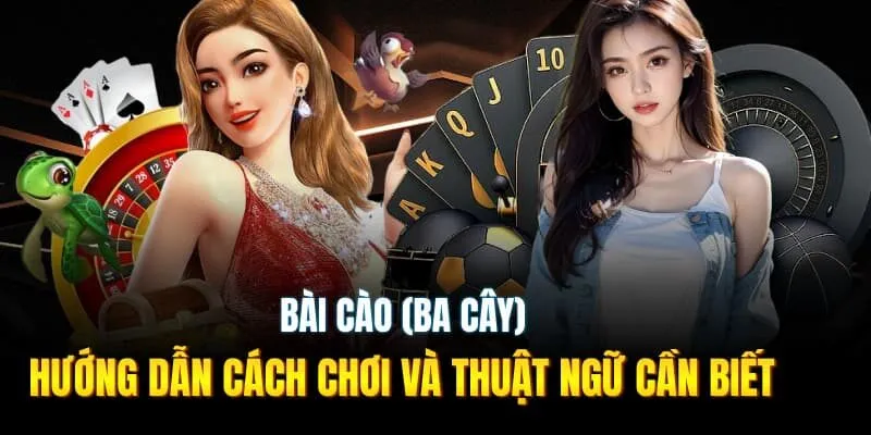 Bài Cào (Ba Cây)